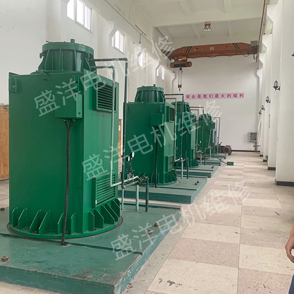 阜阳专业维修电机